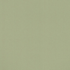 Mary Carol Paint Mary Carol Paint Matte Gooseberry 153012
