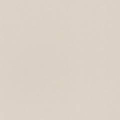 Mary Carol Paint Mary Carol Paint Matte Winter Wheat 153182